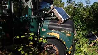 Derecho Recovery 🌪️🌲🌲🌲 Carving out the bus and new paths from the crazy overgrown blackberries 🪓🪚😭💪🦟