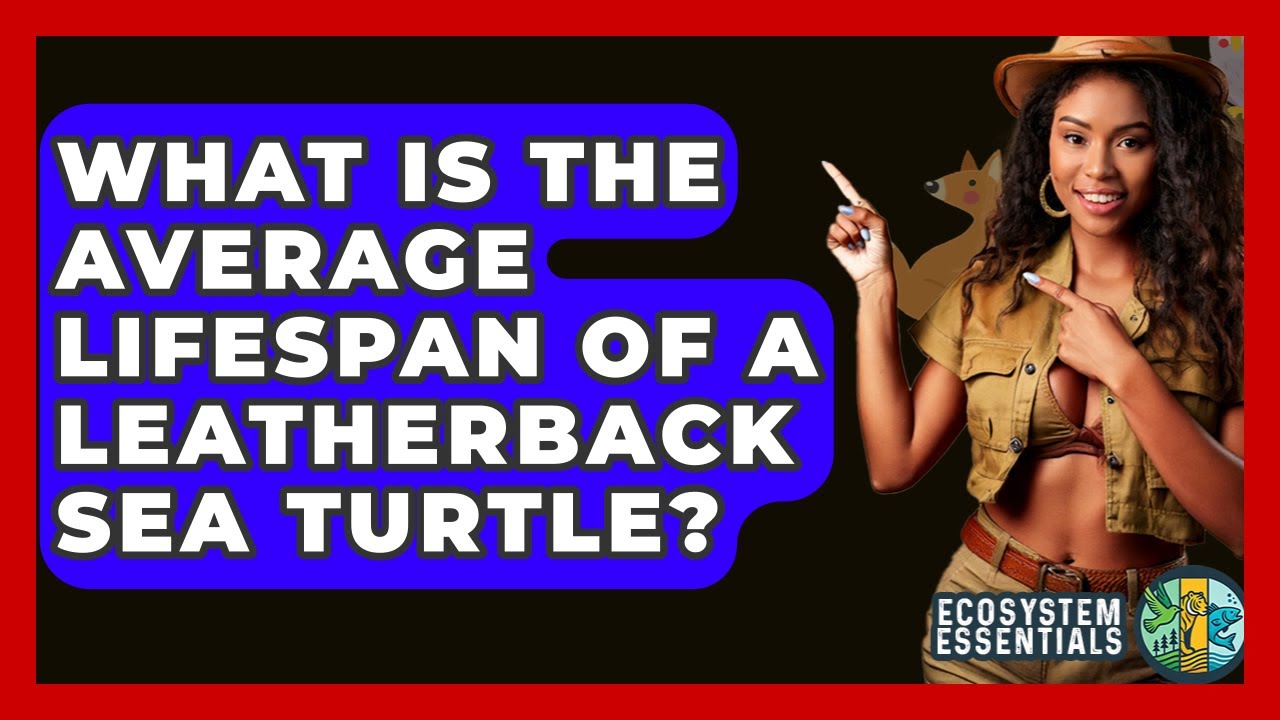 What Is The Average Lifespan Of A Leatherback Sea Turtle? - Ecosystem Essentials
