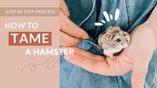 How To Tame A Winter White Hamster Fast (IN ONE WEEK!)