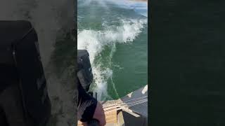 Viver é diferente de estar vivo