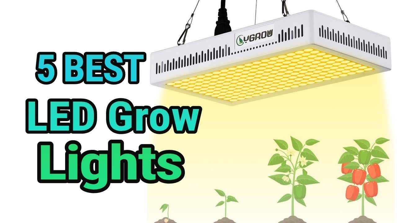 5 Best Grow LED lights YouTube