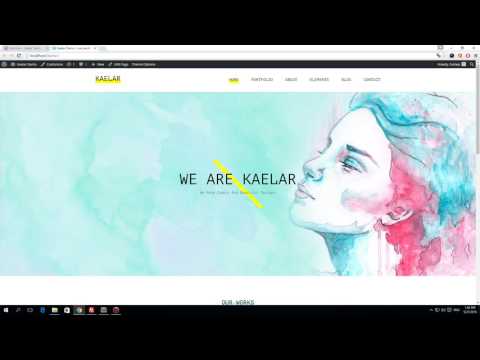 Kaelar WordPress Theme - Custom Posts Setup & Customization
