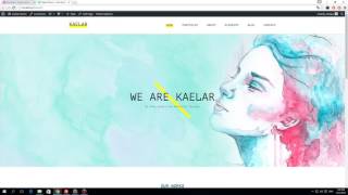 Kaelar WordPress Theme - Custom Posts Setup & Customization