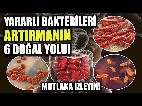 Bağırsaktaki Yararlı Bakterileri Artırmanın 6 Doğal Yolu!