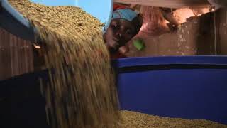 WFP’s Zero Food Loss Initiative Reaching 200 Million Farmers by 2030