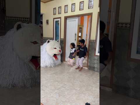 Alika keluar rumah dihadang can macanan