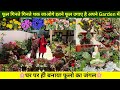 फूल गिनते गिनते थक जाओगे इतने फूल उगाए है अपने Garden में 🌸घर पर ही बनाया फूलो का जंगल🌸