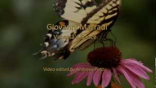 Giovanni Marradi  Vanessas Dance