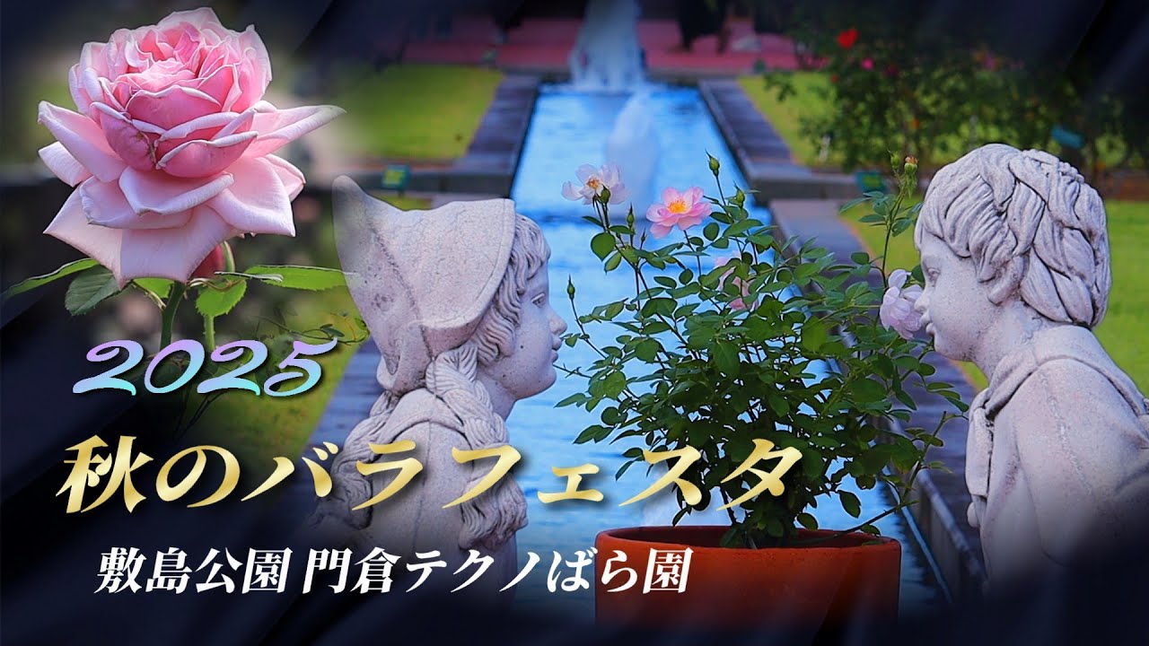 秋のバラフェスタ2025】敷島公園 門倉テクノばら園を2025年10月20日