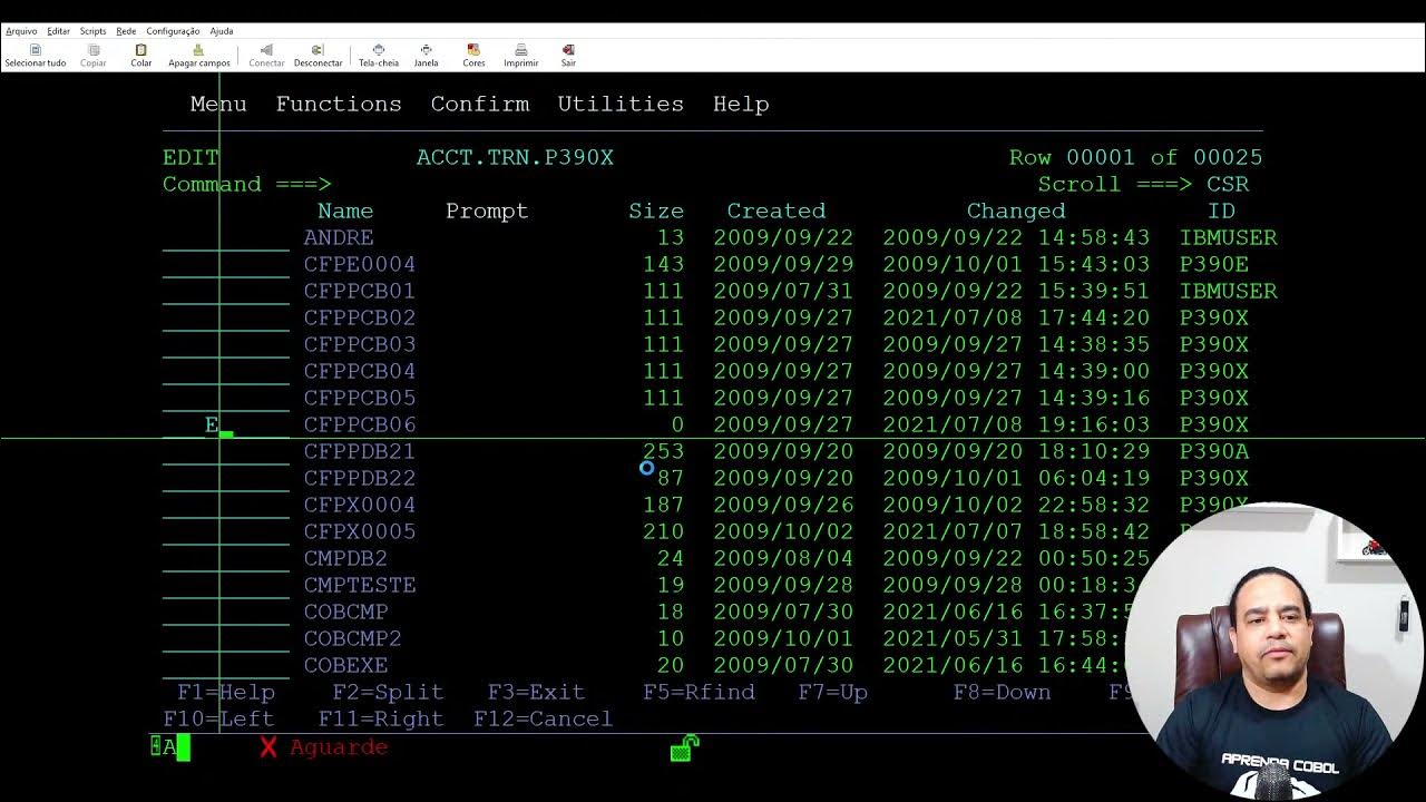 [Aprenda COBOL - Curso Prof. Andre Costa] - COBOL com Banco de Dados ...