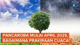 BMKG: Indonesia Will Experience a Transitional Season in April 2025. What's the Weather Forecast