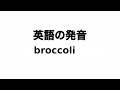 英単語 broccoli 発音と読み方