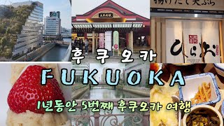 후쿠오카 뷰맛집 그란돌체 호텔| 덴뿌라 맛집 히라오| 다자이후 먹거리| 요도바시 카메라 가전제품|솔라리아 플라자 명란오징어젓 맛집 | 매일메이(Everyday may)