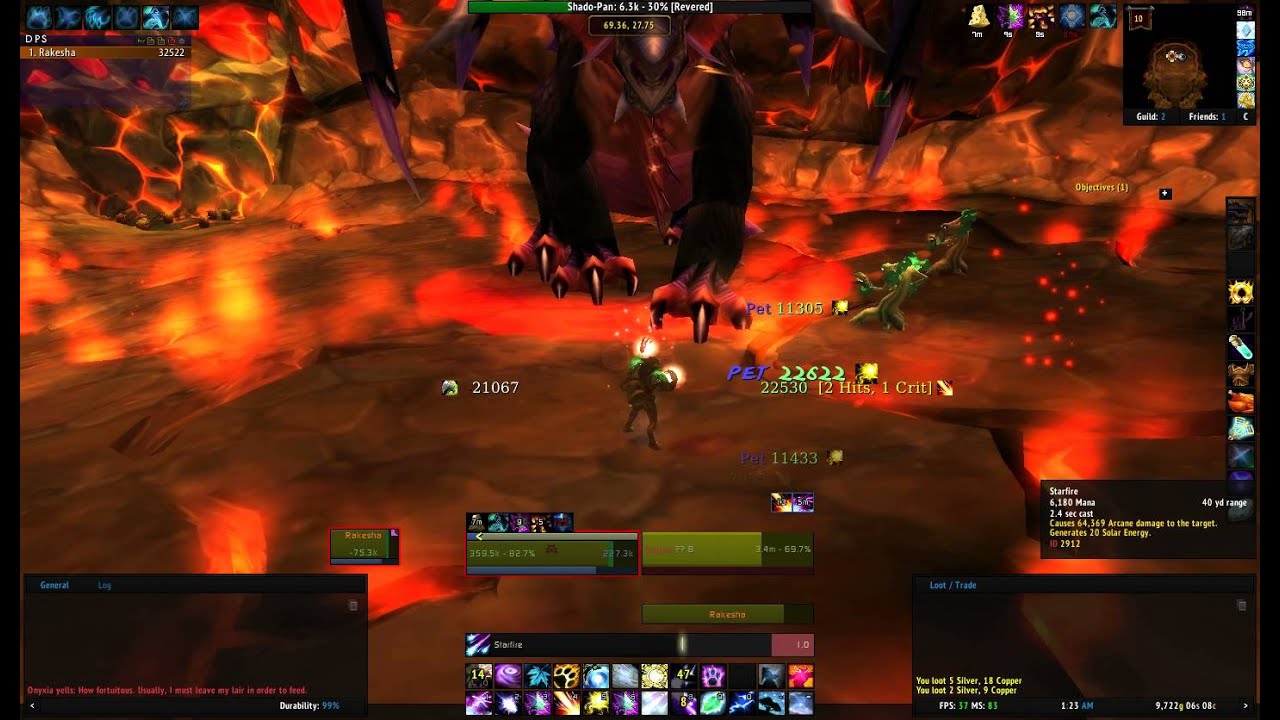 Onyxia Raid: Solo Run - Youtube