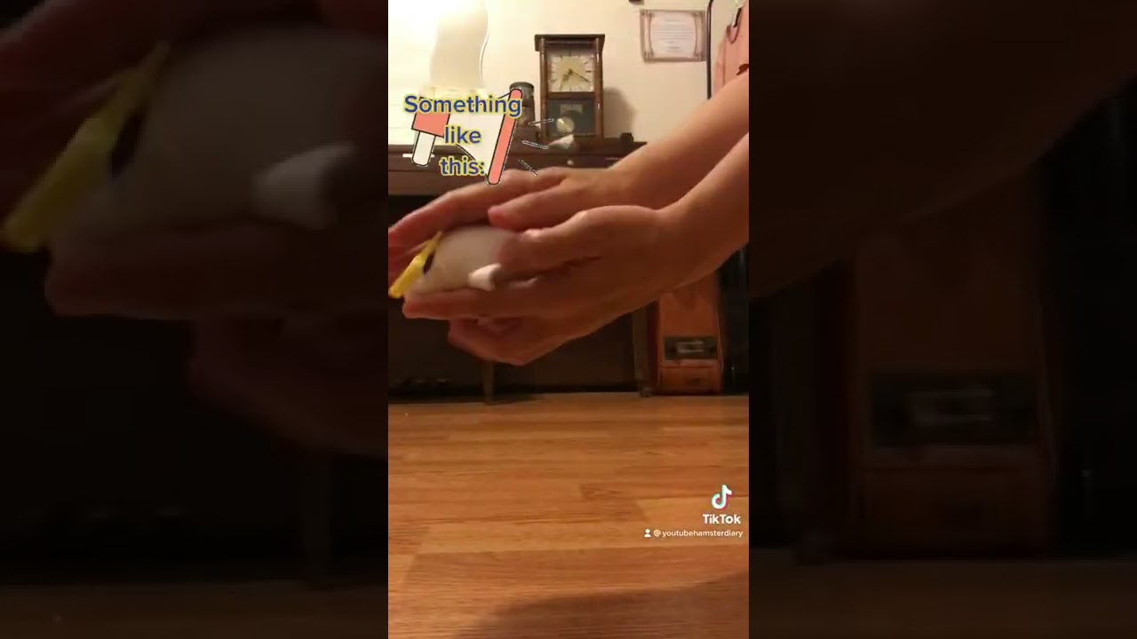 음식이 목에 걸린 햄스터 hamster choking on food 😱 YouTube