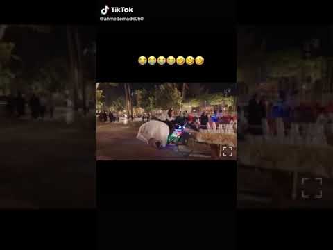 اجمل عريس وعروسه ربنا يتمم على خير