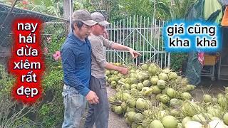Today the team harvested coconuts at a beautiful Siamese coconut garden, great prices and so much...