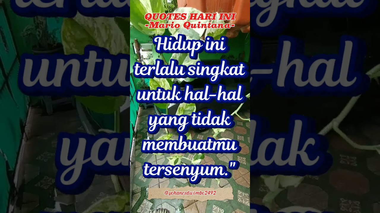 Quotes Hari Ini - Mario Quintana. 