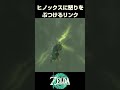 ヒノックスに怒りをぶつけるリンク【ゼルダの伝説 ティアーズオブザキングダム】