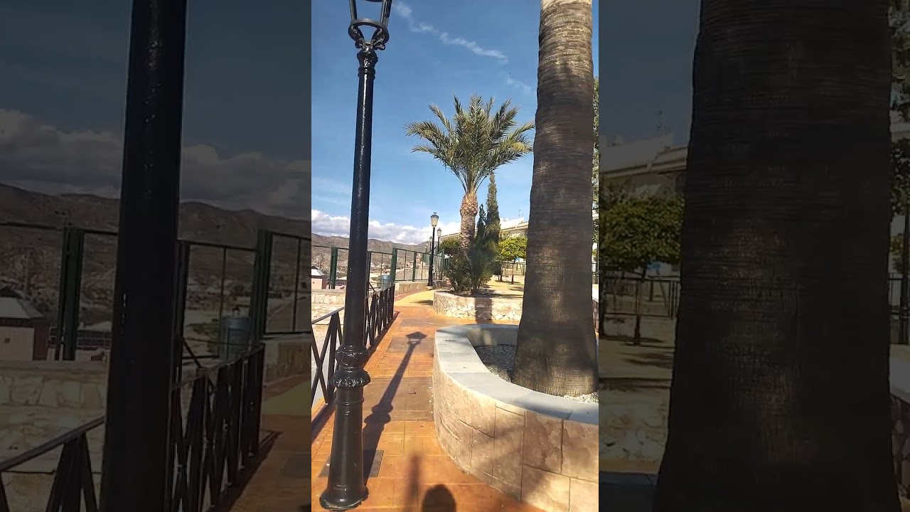 Arbóreas. Almería. España 