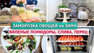 🤩 ЗАМОРОЗКА ОВОЩЕЙ на ЗИМУ 🍄🥦 Заготовка ВИТАМИНОВ 🍅 ВЯЛЕНЫЕ ПОМИДОРЫ, СЛИВА, ПЕРЕЦ 🍰Пирог из слив