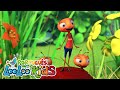 As Formigas Marcham - Músicas Infantis Para Crianças - LooLoo Kids Português