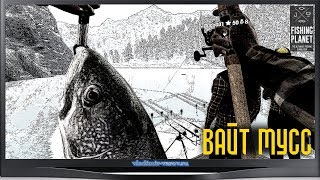 Fishing Planet. Проверка донок на Вайт Мусс.