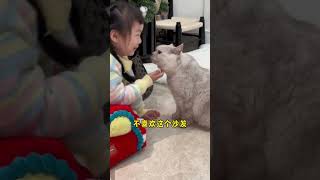 十八真的是果果的最佳守护啊！#cat #猫 #catandbaby #shorts 【十八的萌喵日记】
