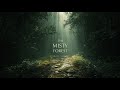Rainy Forest Ambience 🌧️ Nature Sounds for Stress Relief &amp; Sleep