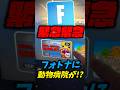 【緊急緊急】フォトナに動物病院が！？