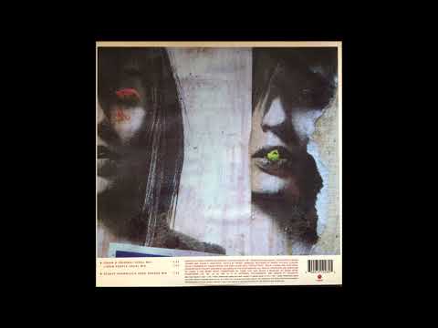 Punk Chic — Punk Chic - DJ Spinnin' (Liquid People Vocal Mix)