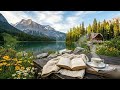 🌸 Relaxing Acoustic Guitar Music | Springtime Soft Light for Relax, Read & Sleep