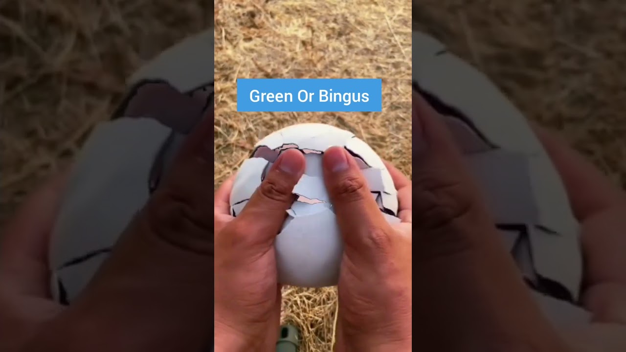 Green Or Bingus? 🎣