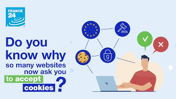 Do you know why so many websites now ask you to accept cookies and tracers? • FRANCE 24 English