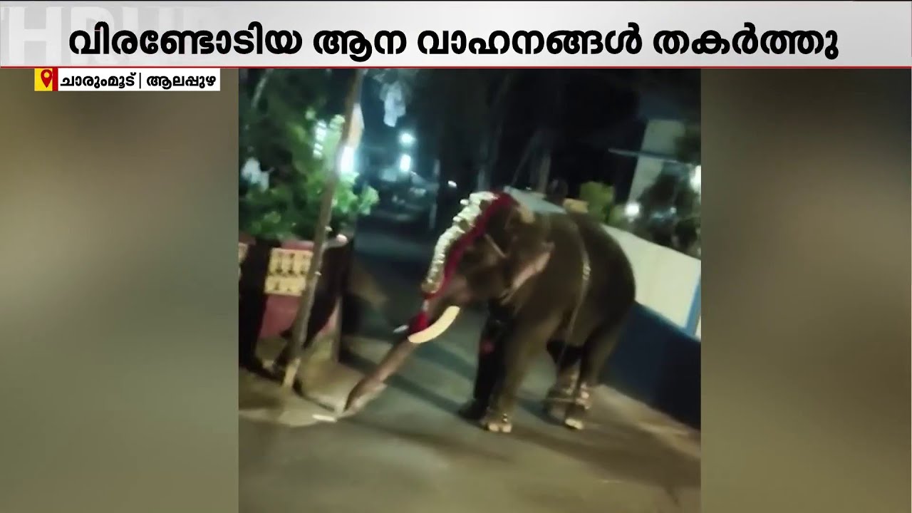 ആലപ്പുഴ കുടശ്ശനാട്ടിൽ ഉത്സവത്തിനിടെ ആന ഇടഞ്ഞു; വാഹനങ്ങൾ തകർത്തു, പാപ്പാന് പരിക്ക് | Alappuzha