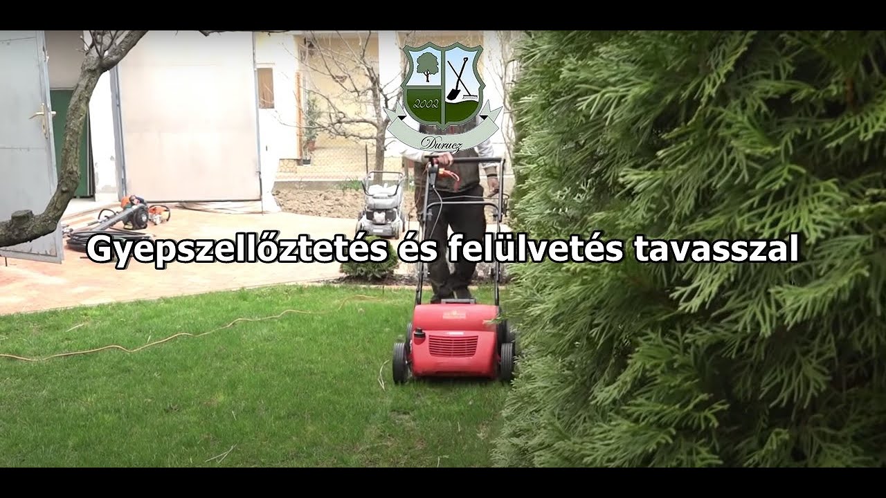 Gyepszellőztetés és felülvetés tavasszal