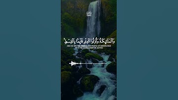 #تلاوة تريح القلب#القرآن_الكريم #أيوب مصعب