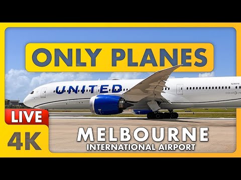 馃敶 LIVE 45+ KTS WIND @ MELBOURNE Airport MEL w/ James + ATC 鉁堬笍