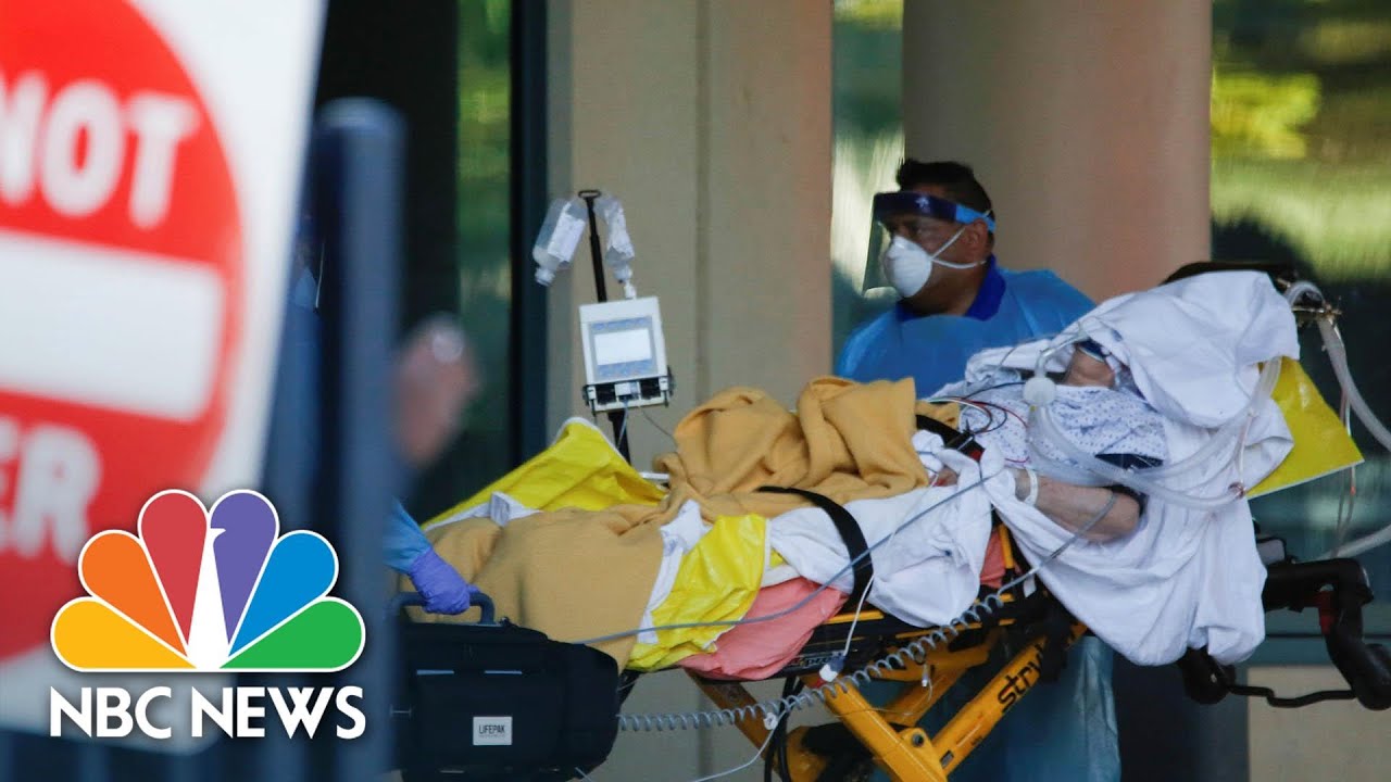 Cruise Ship With COVID-19 Passengers Docks In Florida | NBC News