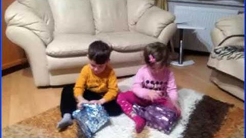 TRDOS 386 Operating System - VGA Demo (PCX files)