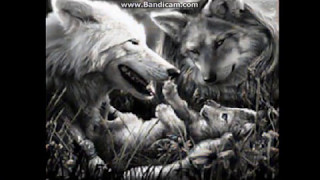 Nightroce- Courtesy Call