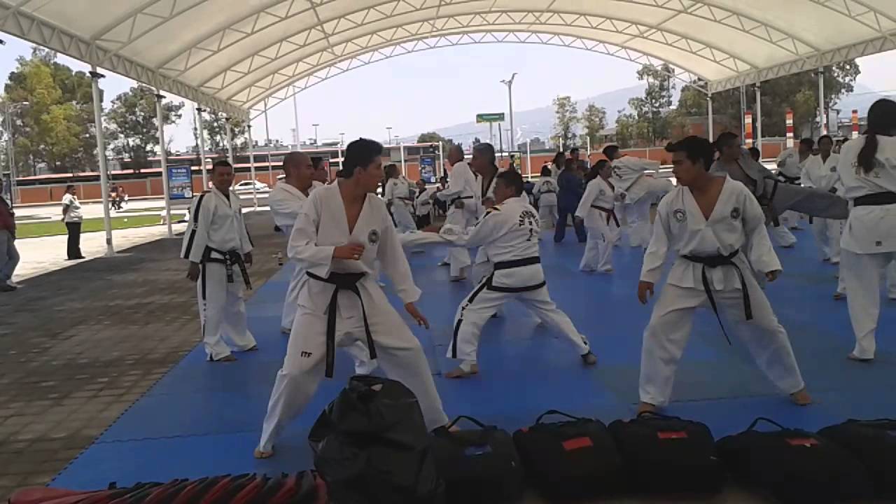 Master RAMON MATEO SEMINARIO TKD MEXICO DF 1 