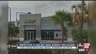 Dirty Dining: Subway temporarily shuts down for rats and roaches near food in the kitchen
