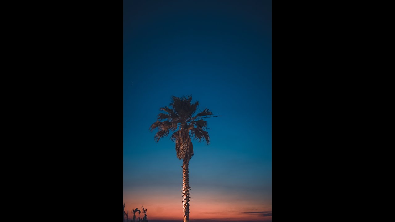 [FREE] Summer Rap Beat 2019 "Summer" Guitar Type Beat | Summer Vibe Beat | R&B Instrumental 2019