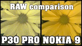 Huawei P30 Pro Vs. Nokia 9 Pureview Raw Comparison