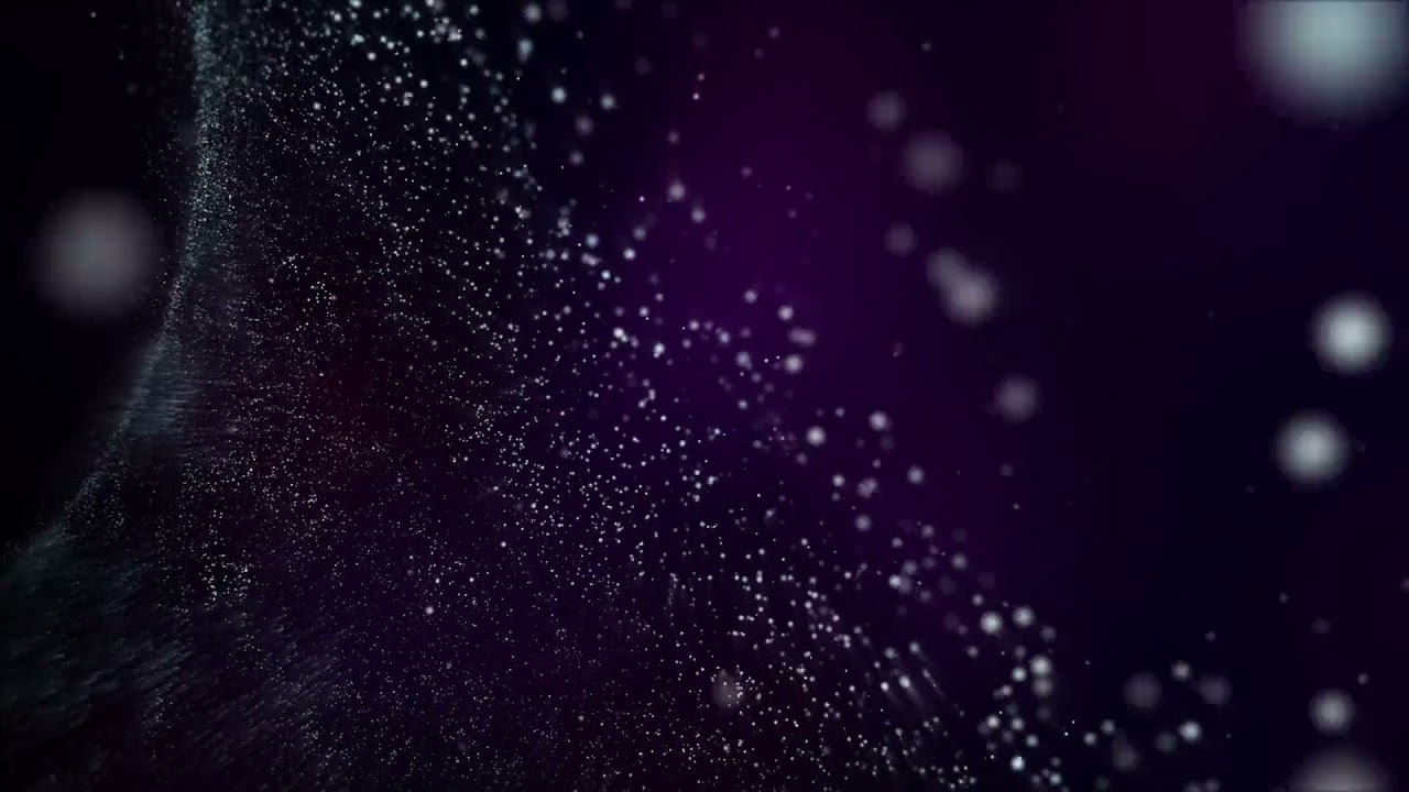 Carbon Based Lifeforms -  Finite State Space