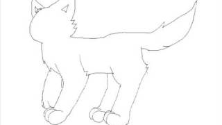 Cat Running Cycle Test 1