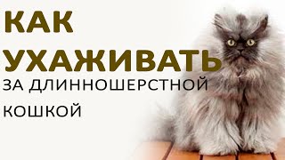 Как вычесывать длинношерстную кошку?