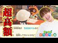 【あつ森Part5】島クリ初心者への洗礼がキツすぎる！！