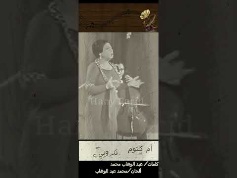 القمر من فرحنا من فرحنا هينور اكتر طرب   فكرونى ام كلثوم جديد اغاني تيك توك